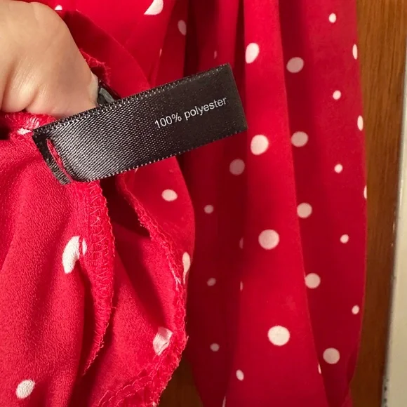 The Limited Scarlet Sheer Blouse with Ivory Polka Dots and Front Tie - Picture 6 of 8